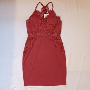 NWT Iris Wine Lace Sheer Dress Size L